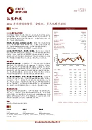 2019年业绩稳健增长，全球化、多元化稳步推进