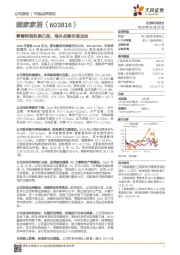 零售转型效果凸显,海外战略布局加快