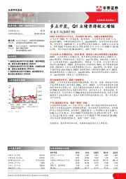 多点开花，Q1业绩录得较大增幅