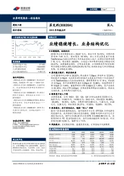 2019年年报点评：业绩稳健增长，业务结构优化