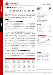 19年业绩表现亮眼，多电池业务齐头并进