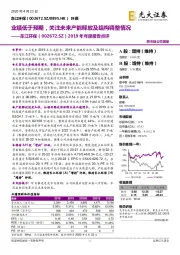 2019年年度报告点评:业绩低于预期,关注未来产能释放及结构调整情况