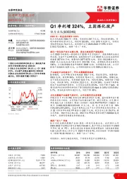 Q1净利增324%，主因炼化投产