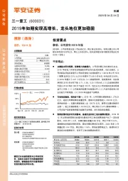 2019年如期实现高增长，龙头地位更加稳固