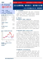 2019年年报&2020年一季报简评:龙头业绩高增,营运能力、盈利能力改善