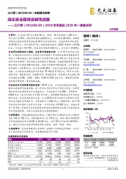 2019年年报及2020年一季报点评：政企安全取得突破性进展