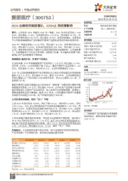 2019业绩保持高速增长，2020Q1受疫情影响