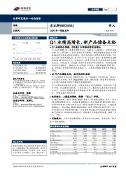 2020年一季报点评：Q1业绩高增长，新产品储备充裕