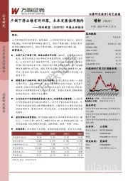 年报点评报告：产销下滑业绩有所回落，未来发展值得期待