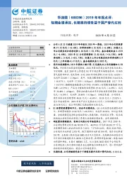 2019年年报点评:短期业绩承压,长期将持续受益于国产替代红利