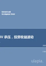 新单、NBV承压，投资收益波动