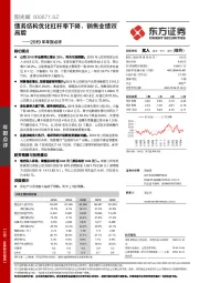 2019年年报点评：债务结构优化杠杆率下降，销售业绩双高增