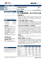 2020年一季报点评:Q1业绩超预期,非公开发行方案凸显信心