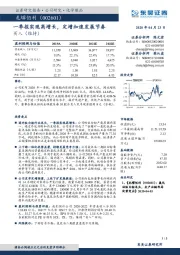 一季报实现高增长,定增加速发展节奏