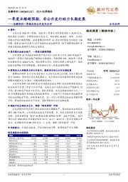 龙蟒佰利一季报及非公开发行点评:一季度业绩超预期,非公开发行助力长期发展