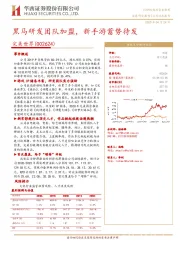 黑马研发团队加盟，新手游蓄势待发