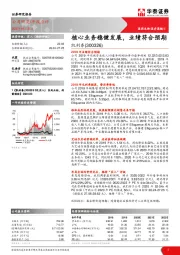 核心业务稳健发展，业绩符合预期