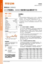 2019平稳增长,2020Q1受疫情冲击业绩有所下行