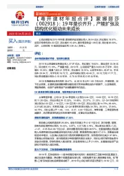 19年量价齐升,产能扩张及结构优化驱动未来成长