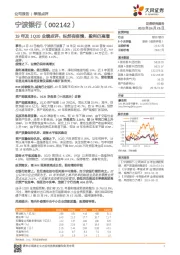 19年及1Q20业绩点评：纵然有疫情，盈利仍高增