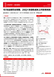 2019年年报及2020年一季报点评：19年业绩符合预期，20Q1阶段性成本上升影响利润