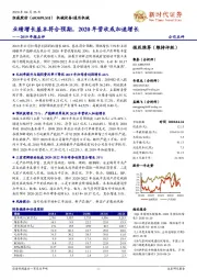 2019年报点评:业绩增长基本符合预期,2020年营收或加速增