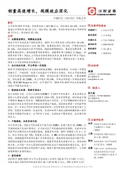 年报点评：销量高速增长，规模效应深化