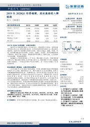 2019及2020Q1经营稳健,股权激励进入解锁期