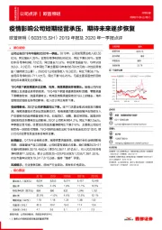 2019年报及2020年一季报点评:疫情影响公司短期经营承压,期待未来逐步恢复