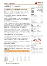 19年报点评:全年业绩下滑明显,成长仍可期