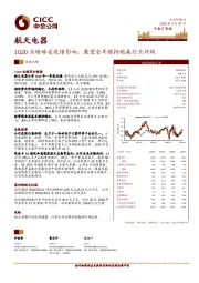 1Q20业绩略受疫情影响，展望全年维持跑赢行业评级