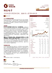 利润体量实现质的突破，2020收入有望加速成长