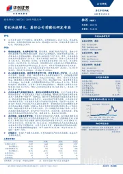 2019年报点评:营收快速增长,看好公司前瞻性研发布局