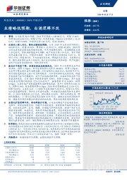 2019年报点评：业绩略低预期，白酒逻辑不改