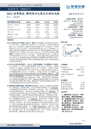 20Q1经营靓丽，静待综合包装龙头扬帆远航