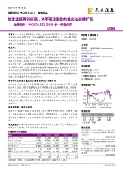 2020年一季报点评:单季业绩再创新高,大手笔定增助力氯化法继续扩张