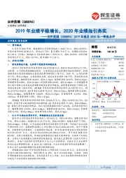 2019年报及2020年一季报点评:2019年业绩平稳增长,2020年业绩指引务实