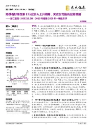 2019年报暨2020年一季报点评：持续看好维生素E行业步入上升周期，关注公司医药业务发展