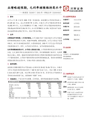 2020年一季报点评：业绩略超预期，毛利率继续维持高水平