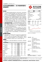 19年业绩快速增长,20年聚焦电商与营销变革