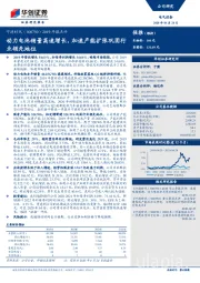 2019年报点评：动力电池销量高速增长，加速产能扩张巩固行业领先地位