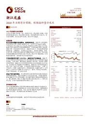 2019年业绩符合预期，短期染料量价承压