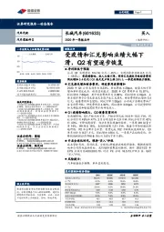 2020年一季报点评：受疫情和汇兑影响业绩大幅下滑，Q2有望逐步恢复