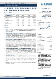 5G建设提速,技术、专利以及解决方案优势显著,持续看好未来业绩稳定增长