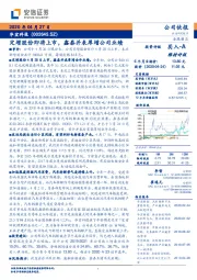 定增股份即将上市，鑫泰并表厚增公司业绩
