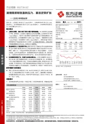 2019年年报点评：清理商誉释放盈利压力，募资逆势扩张