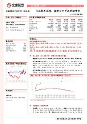 2019年报点评:化工拖累业绩,诺斯贝尔并表贡献增量