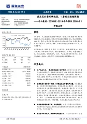 2019年年报及2020年1季报点评:氟乐灵和毒死蜱放量,1季度业绩超预期
