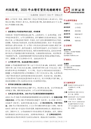 2020年一季报点评:利润高增,2020年业绩有望实现稳健增长