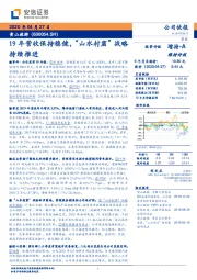 19年营收保持稳健,“山水村窟”战略